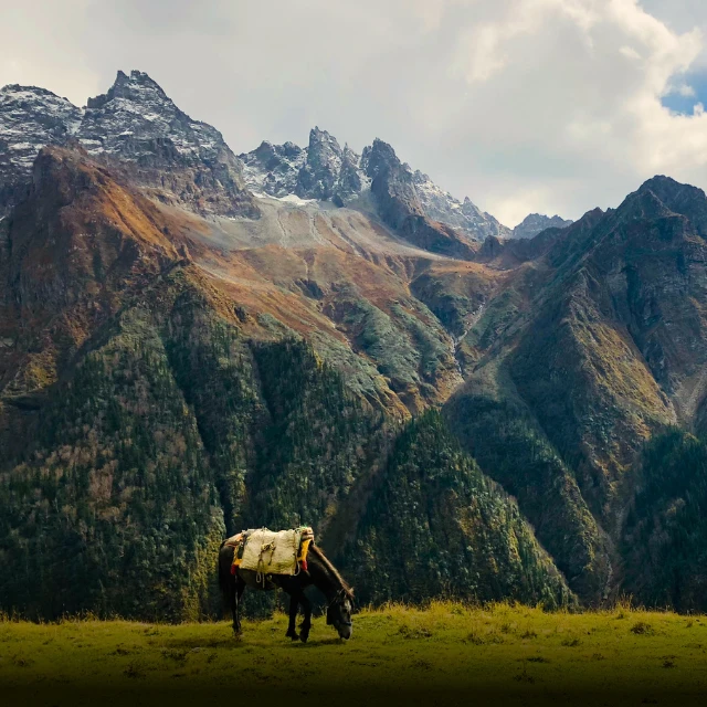 Trekkers of India